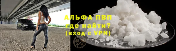 СК Бронницы