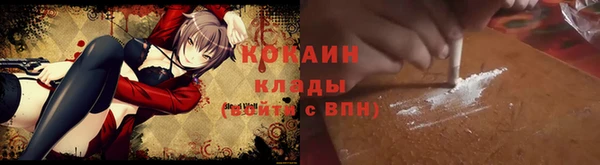 СК Бронницы
