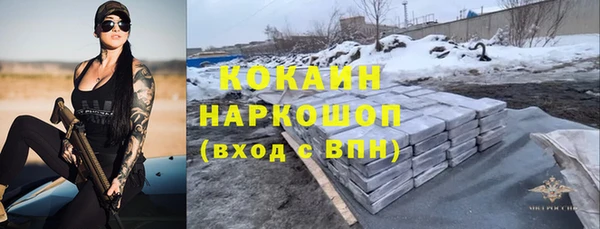 крисы Богородск