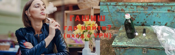 индика Осинники