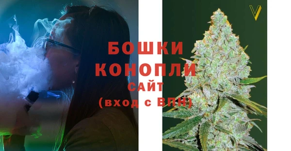 СК Бронницы